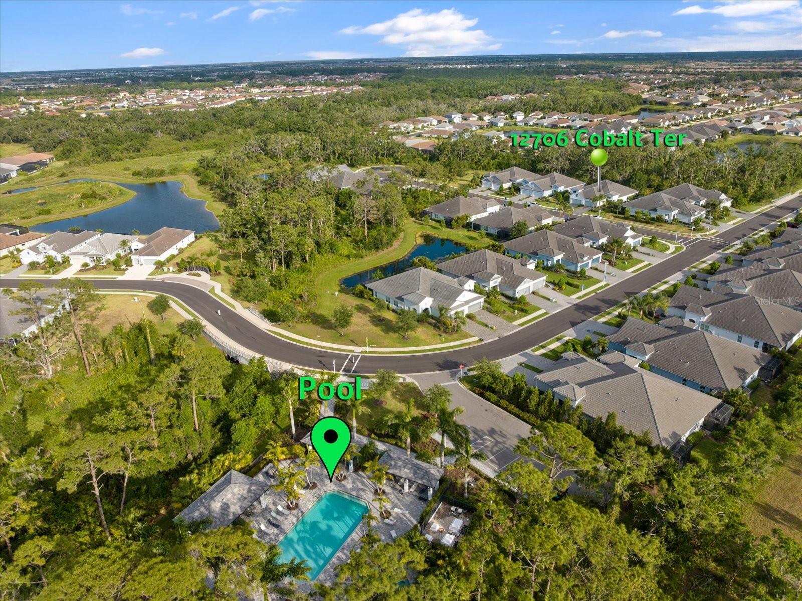 12706 COBALT TER