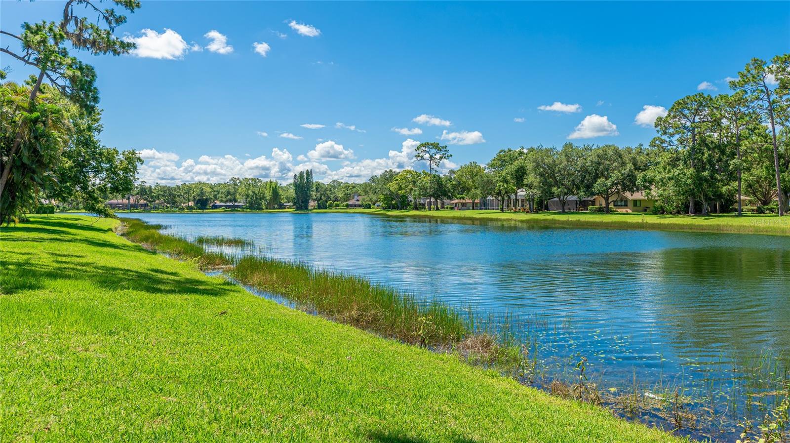 7404 WEEPING WILLOW BLVD