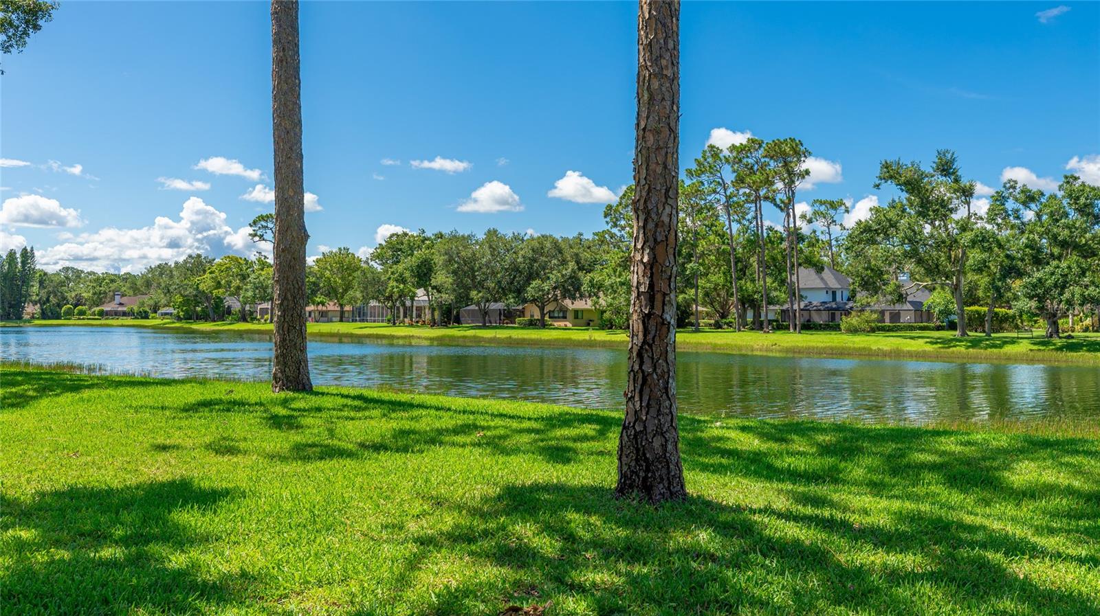 7404 WEEPING WILLOW BLVD