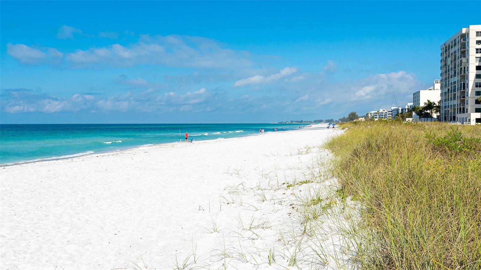 4325 GULF OF MEXICO DR #305