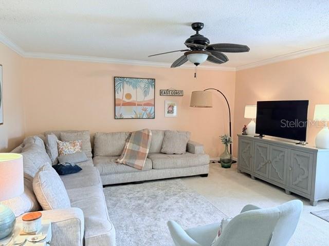 1959 TOUCAN WAY #206