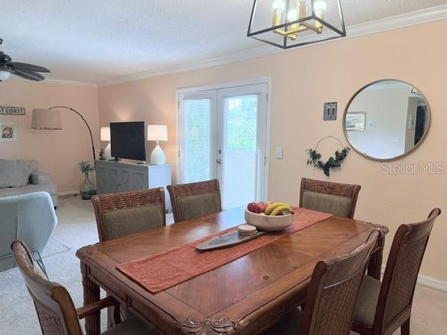 1959 TOUCAN WAY #206