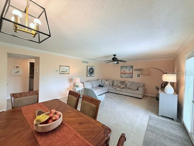 1959 TOUCAN WAY #206