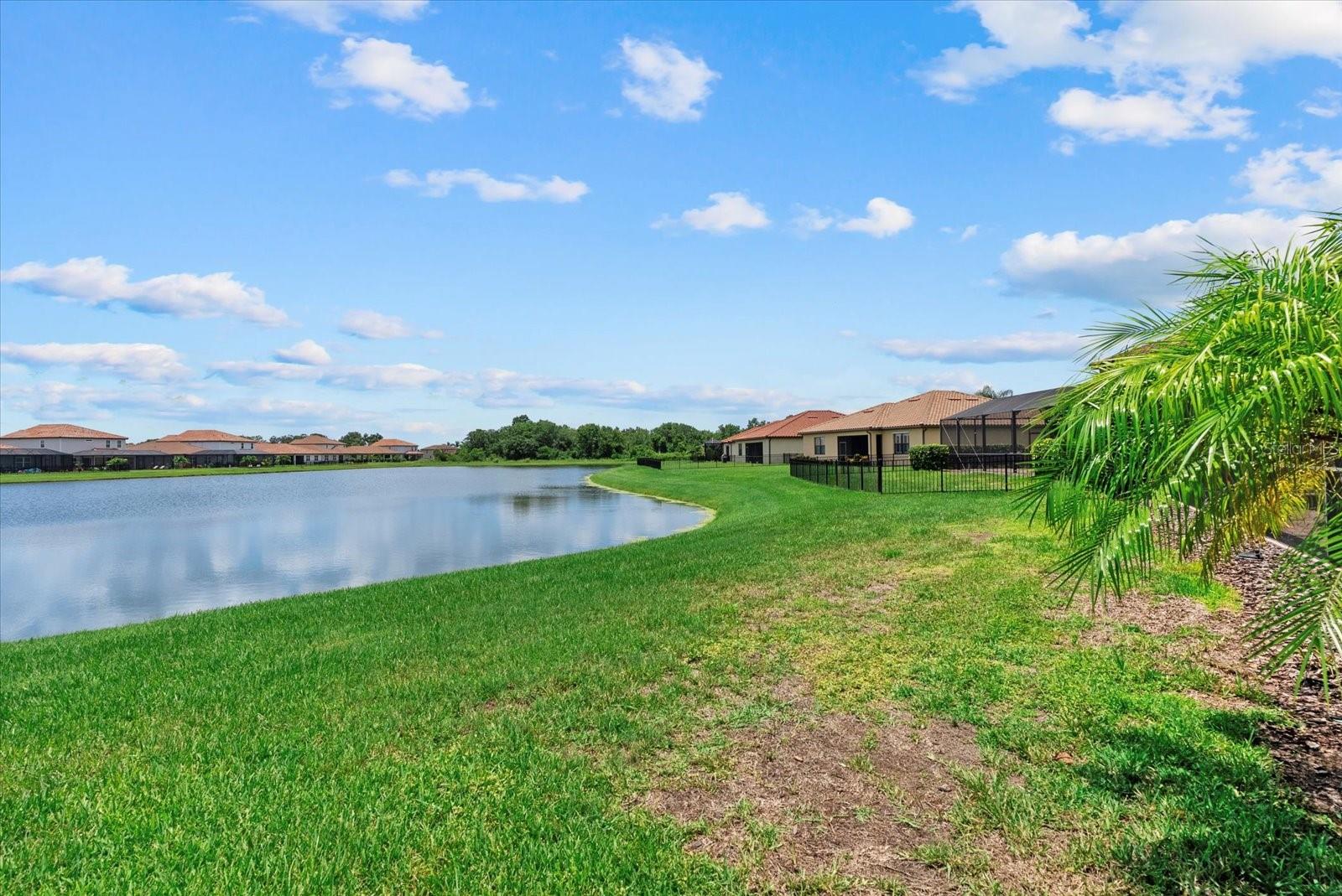 3628 SCRUB CREEK RUN