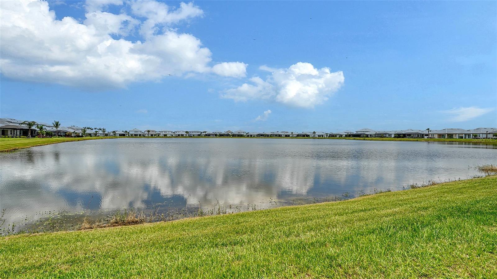 17225 SAVORY MIST CIR