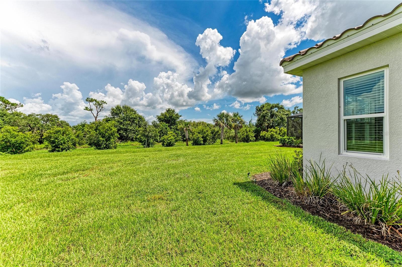 2802 BUTTERFLY JASMINE TRL