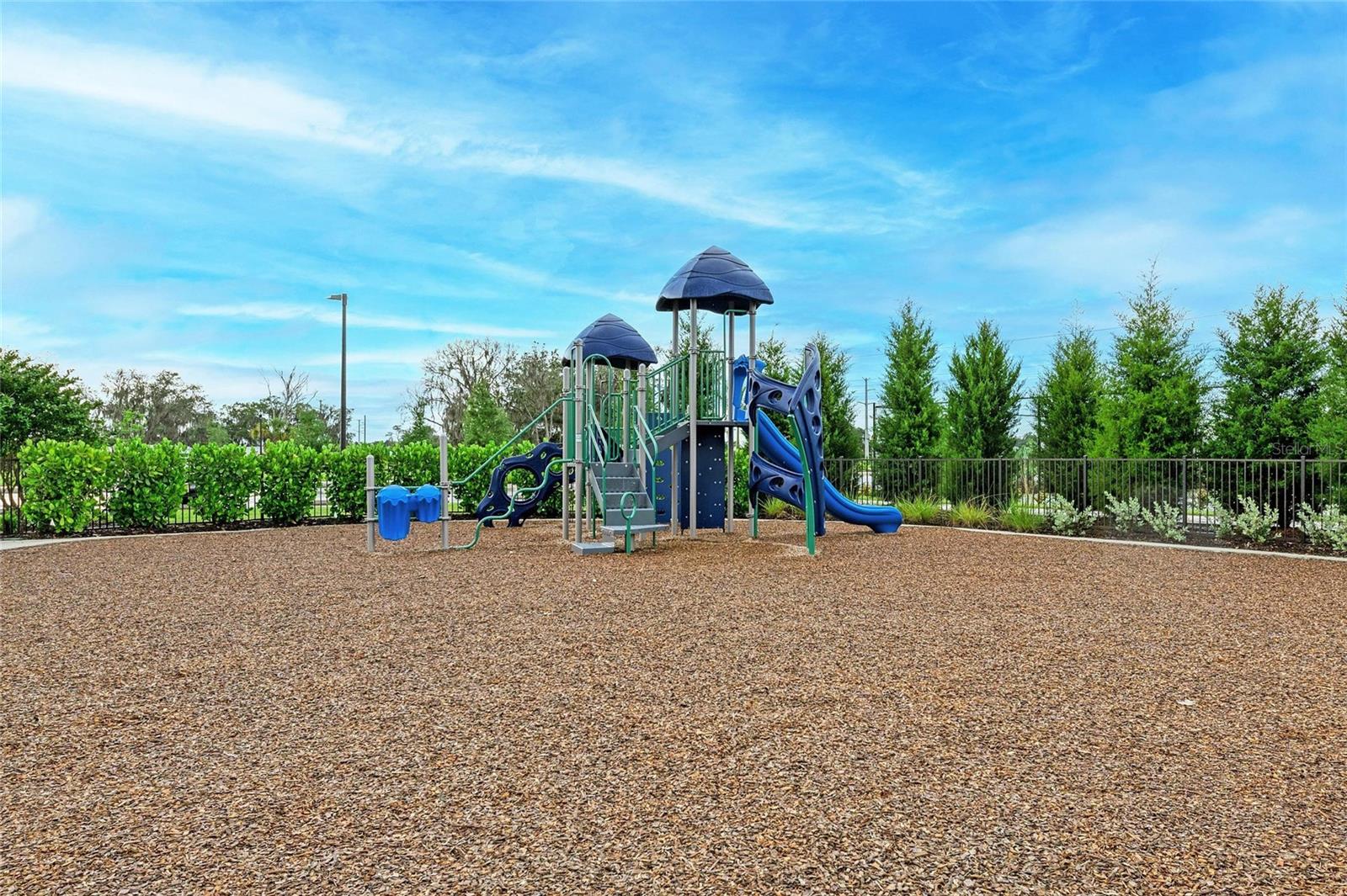 2802 BUTTERFLY JASMINE TRL