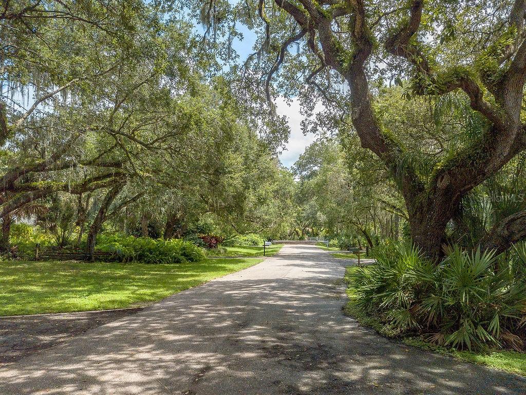 QUARTER HORSE RD