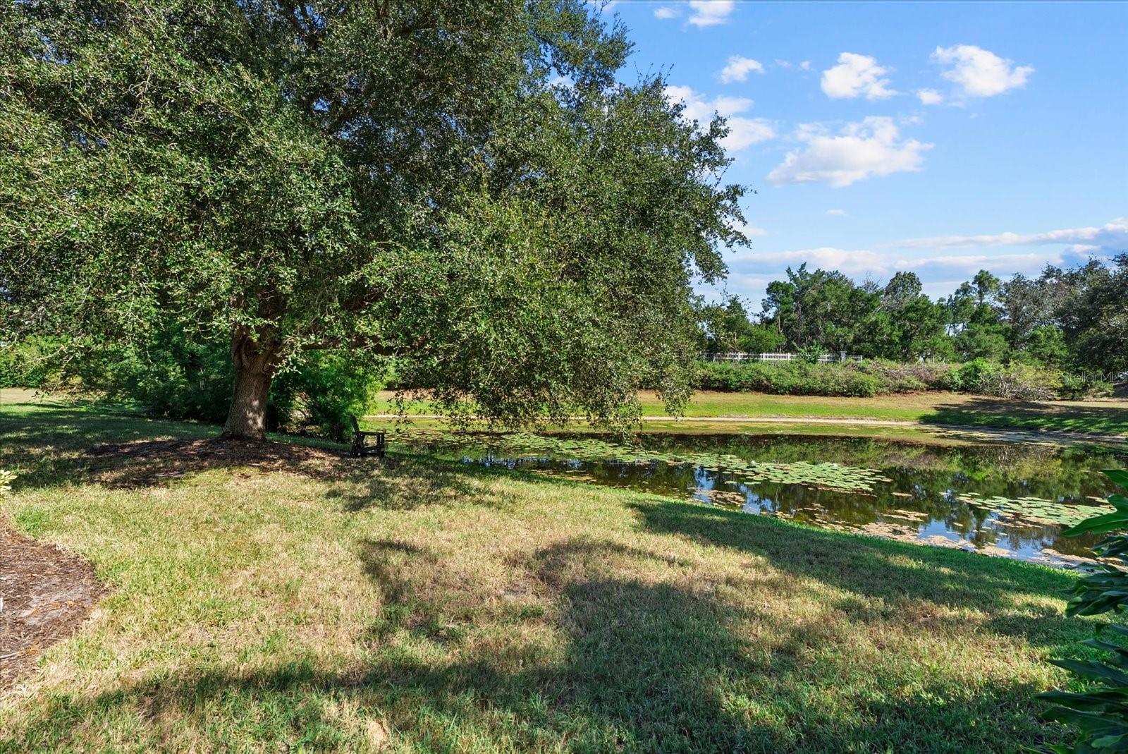 13876 SIENA LOOP
