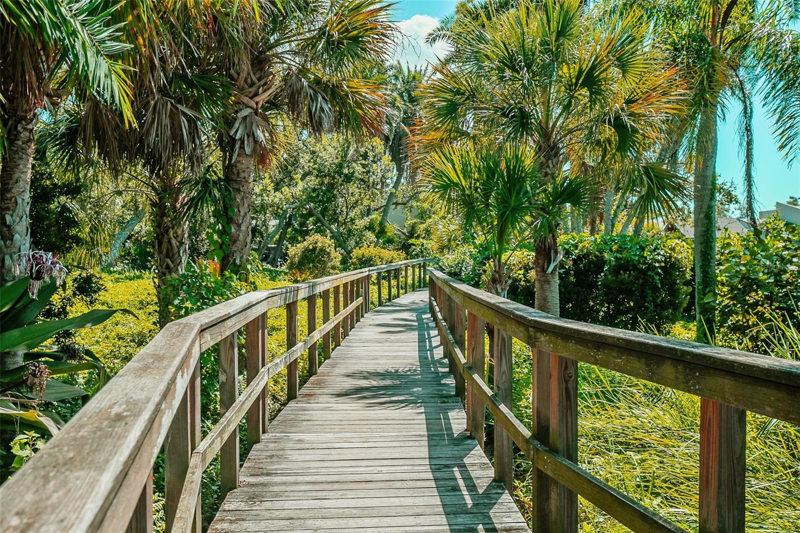 1508 PELICAN COVE RD #230