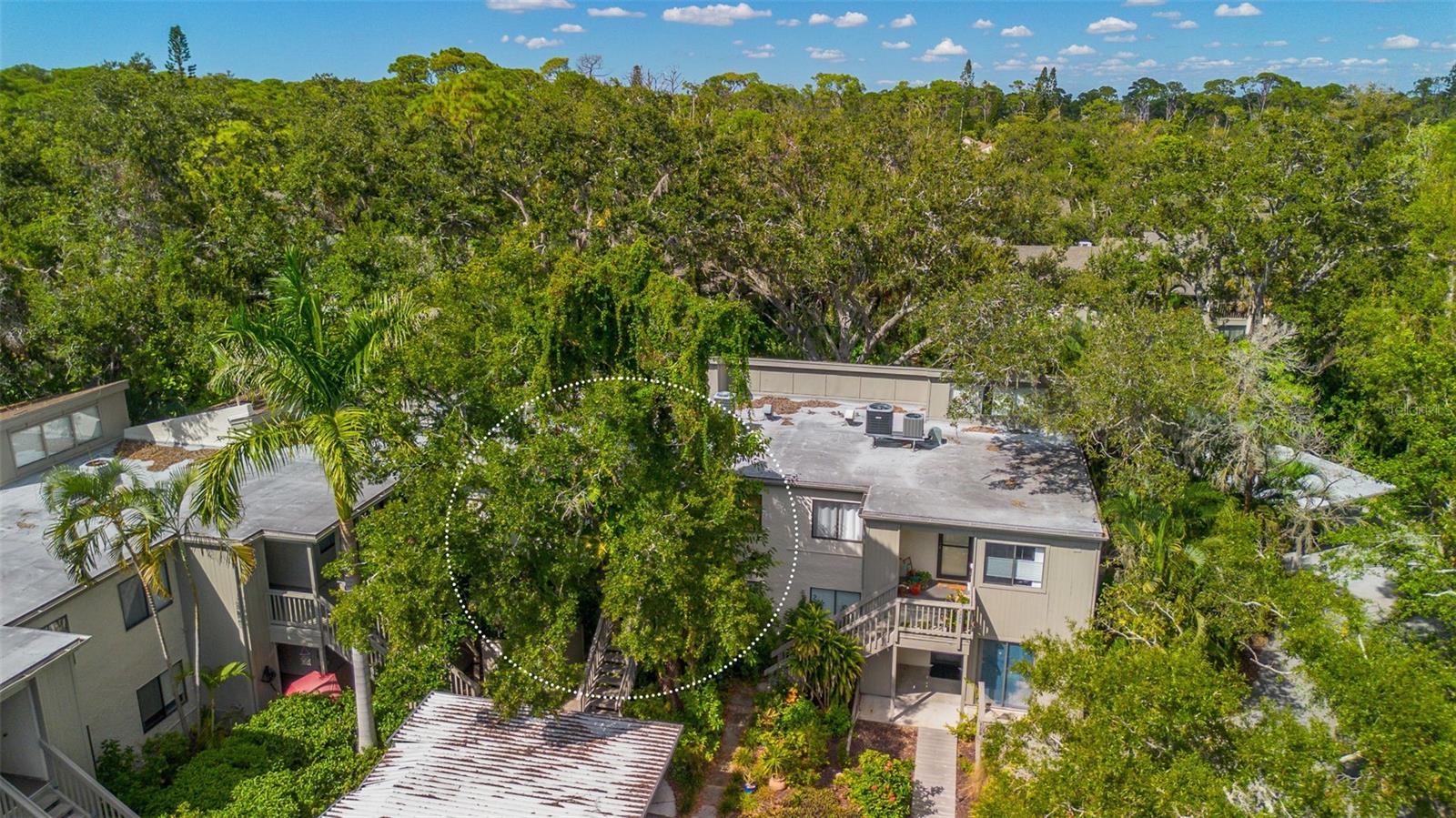 1508 PELICAN COVE RD #230