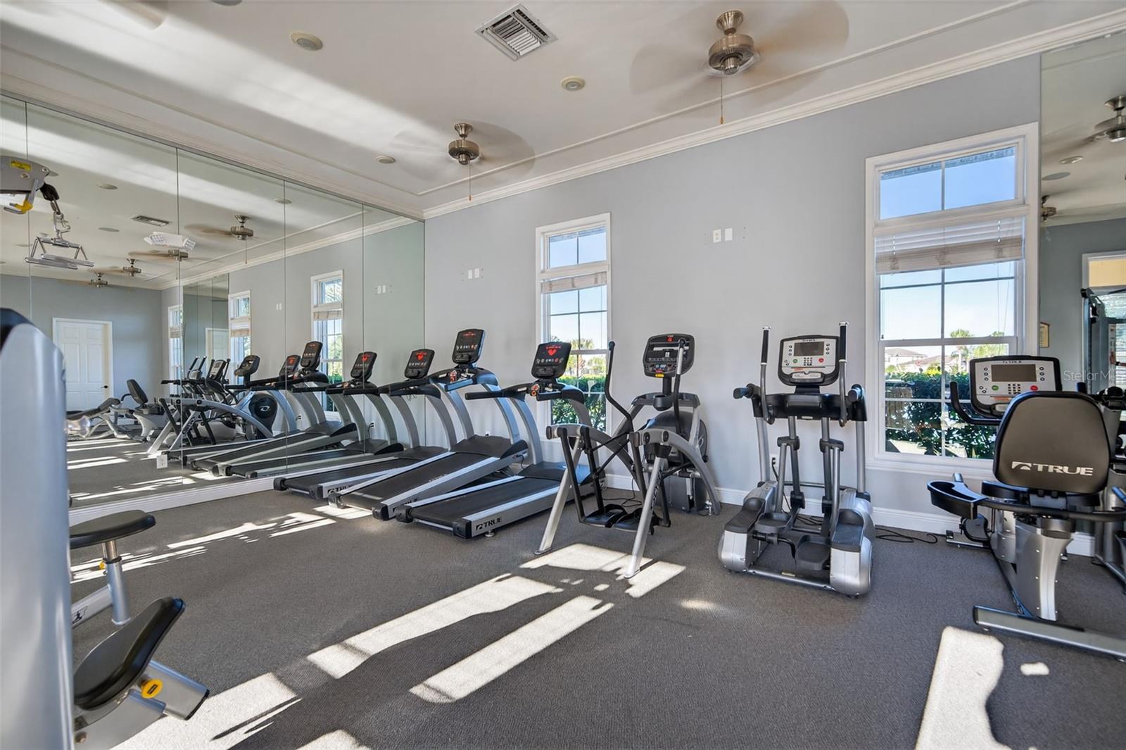 14818 TRINITY FALL WAY