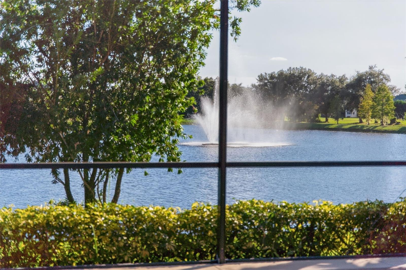 14818 TRINITY FALL WAY