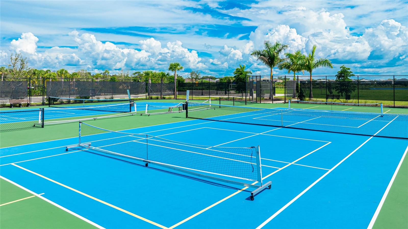 10073 MORNING MIST LN