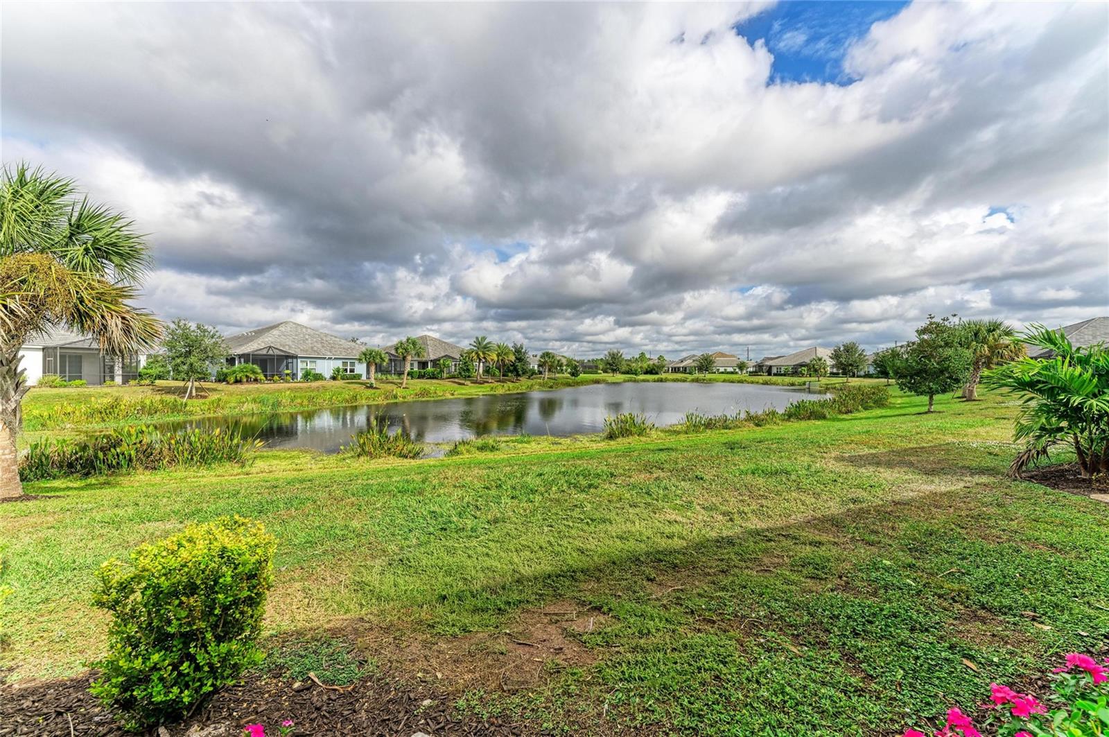 2883 BUTTERFLY JASMINE TRL