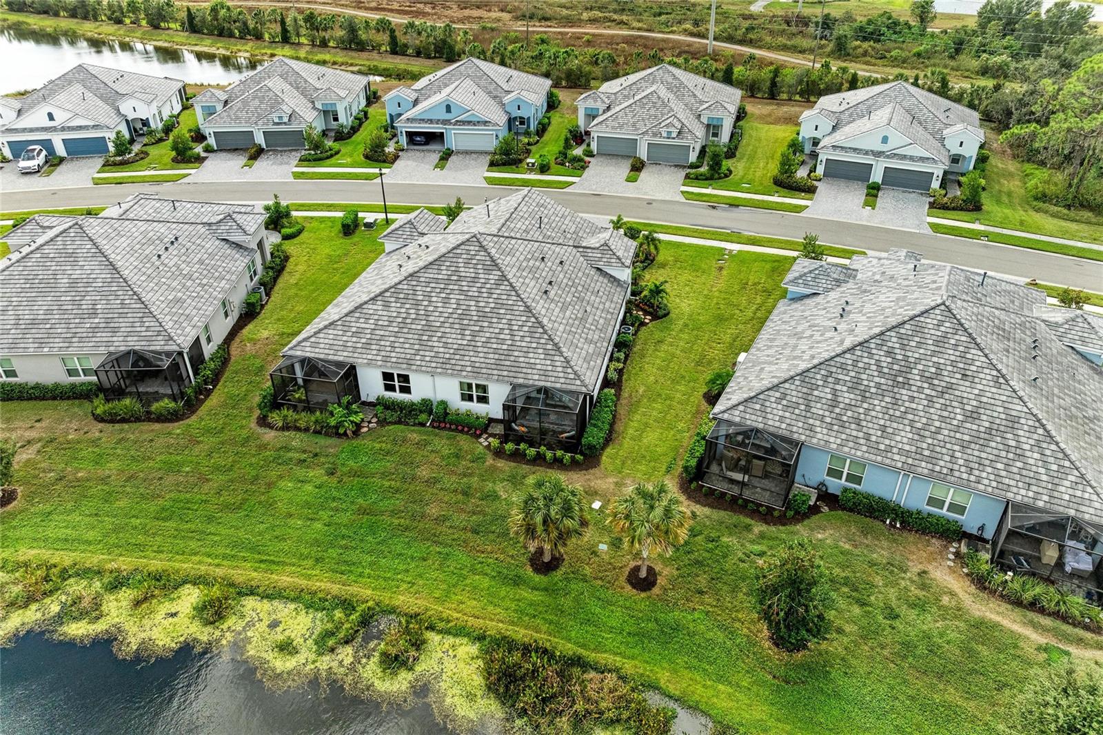 2883 BUTTERFLY JASMINE TRL