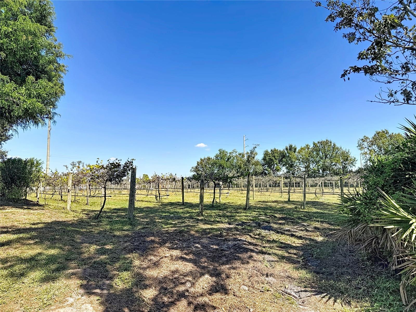 19600 E STATE ROAD 64