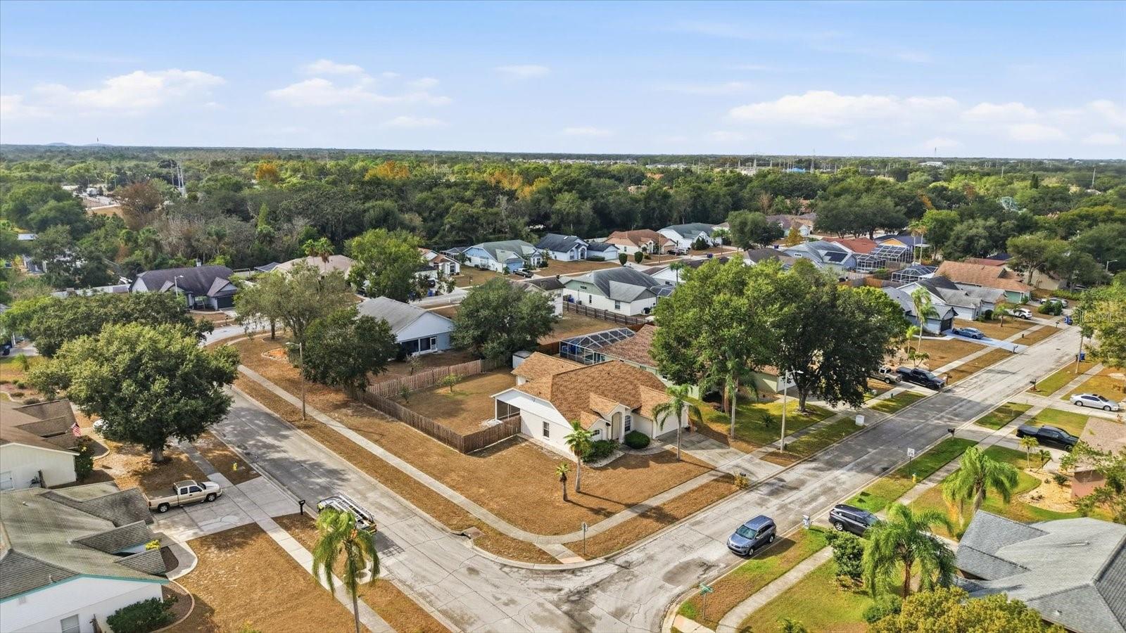 12231 SHADY FOREST DR