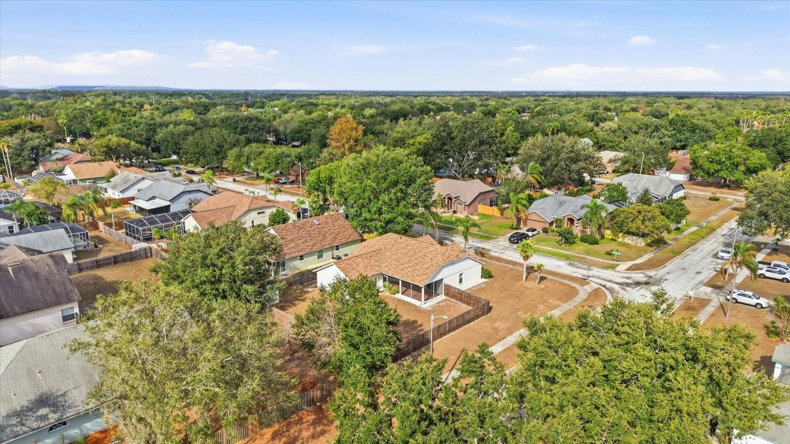 12231 SHADY FOREST DR