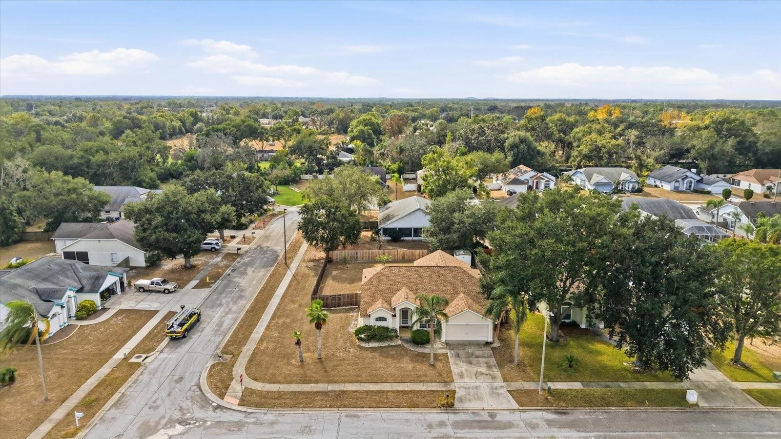 12231 SHADY FOREST DR