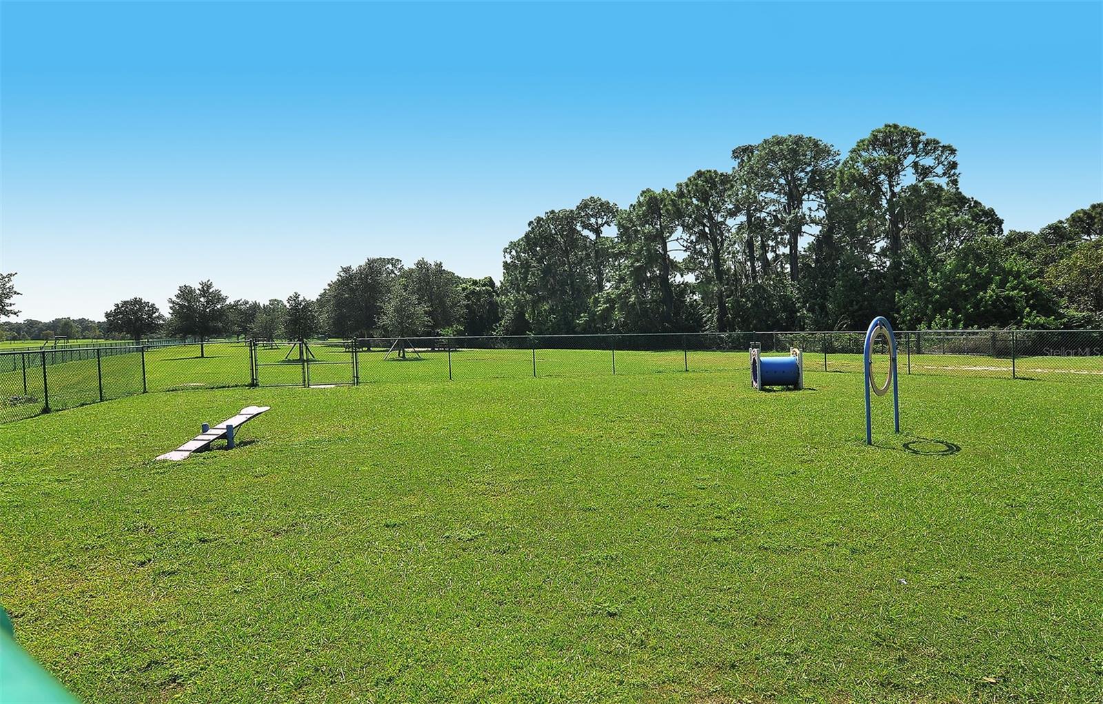 14324 SILVER TROUT DR