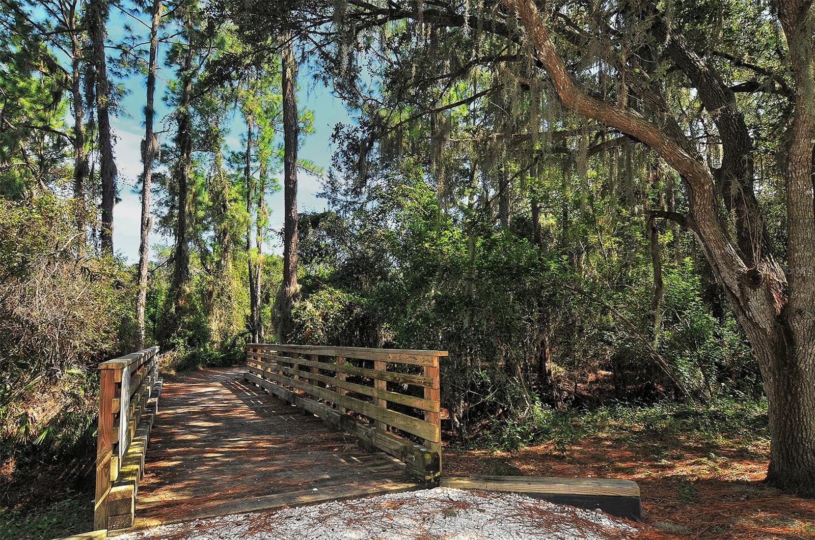 14324 SILVER TROUT DR