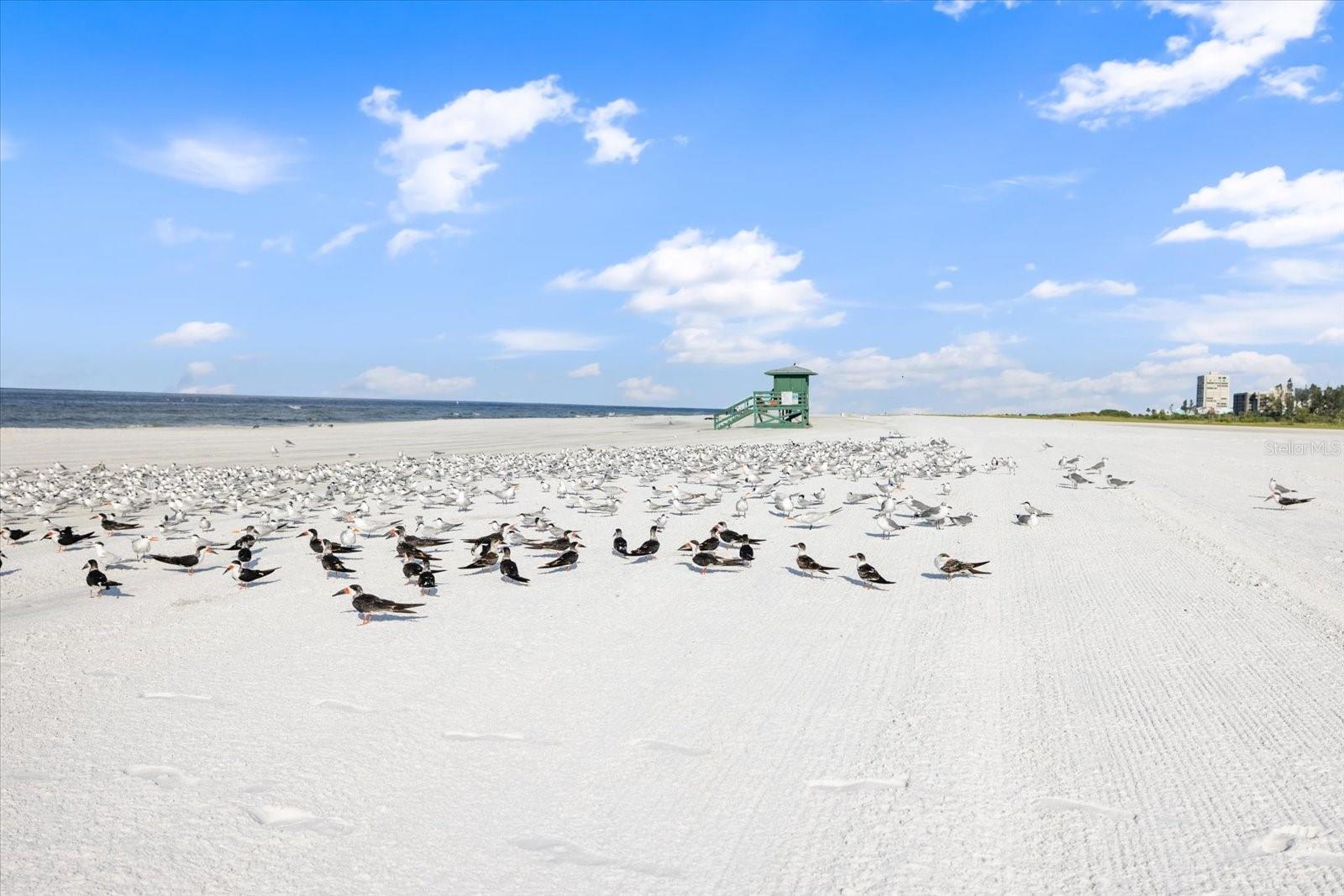 1610 STICKNEY POINT RD #1610-1