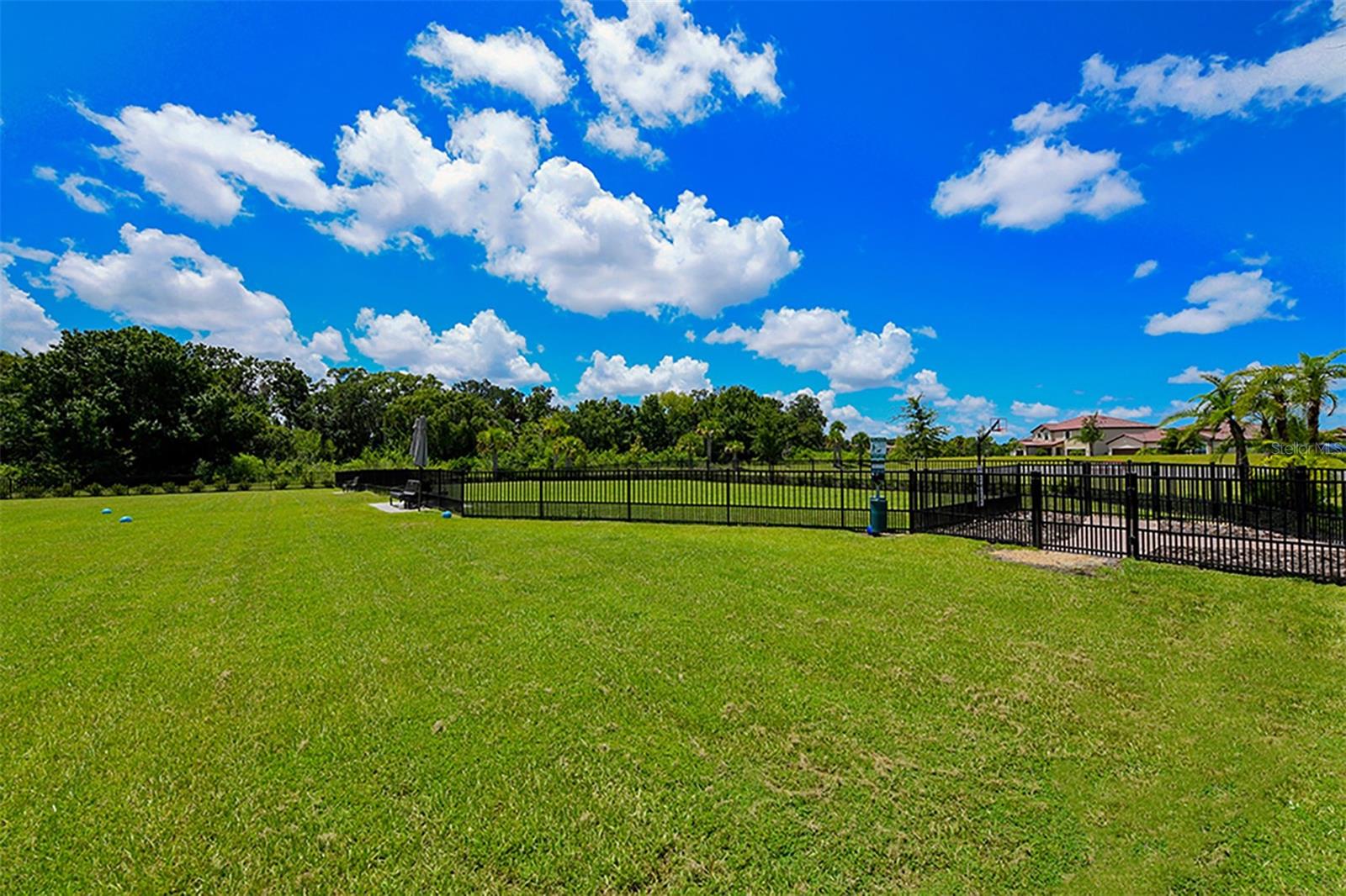 13720 SAW PALM CREEK TRL