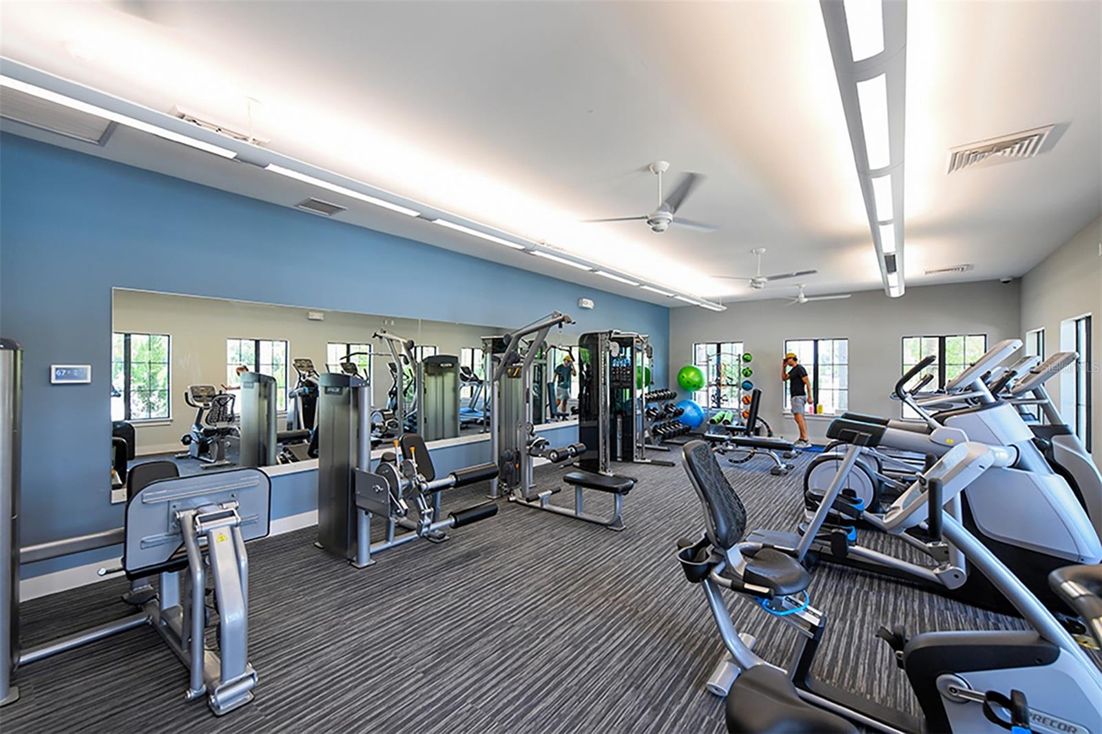 13720 SAW PALM CREEK TRL