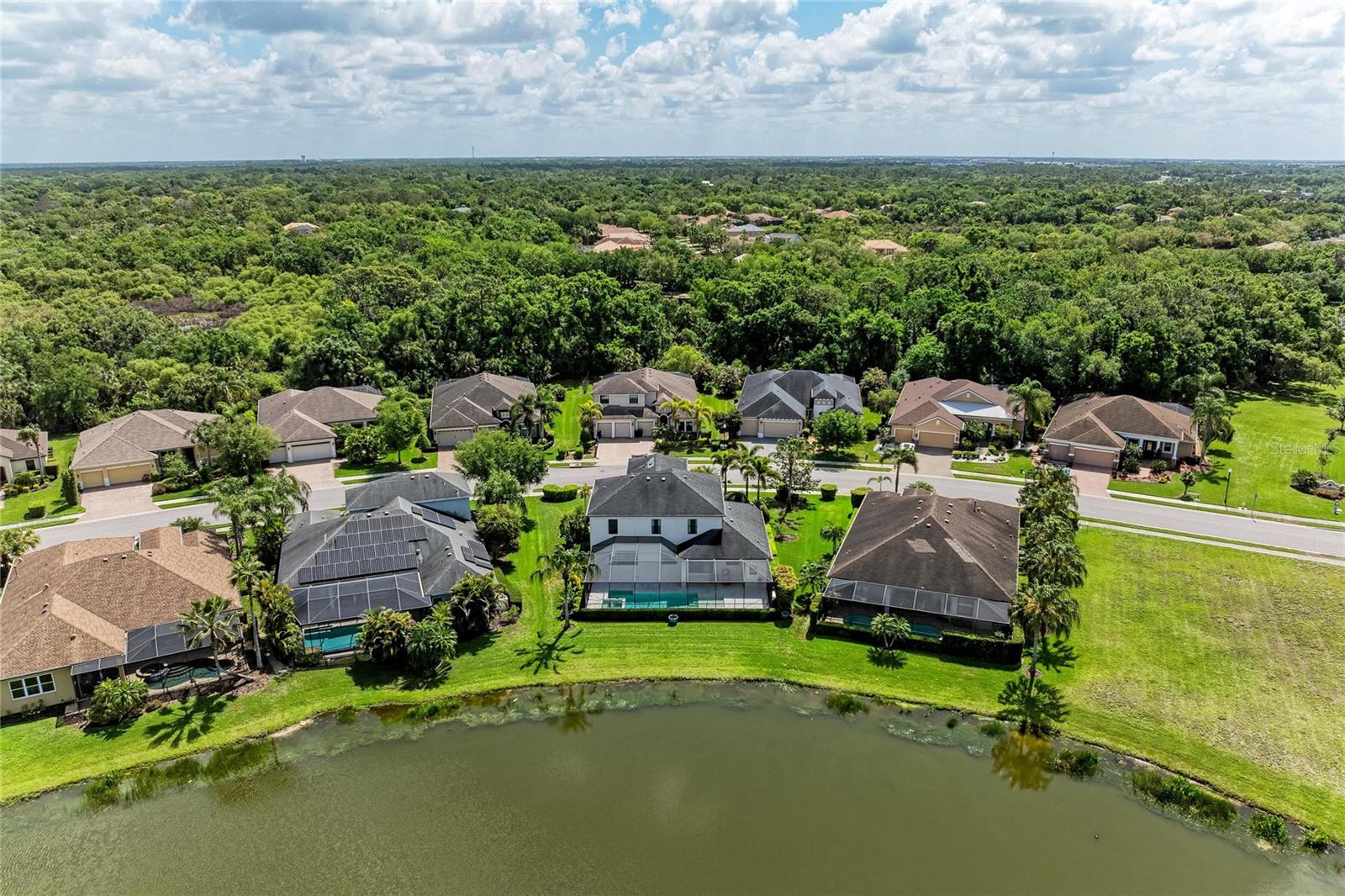 826 HONEYFLOWER LOOP