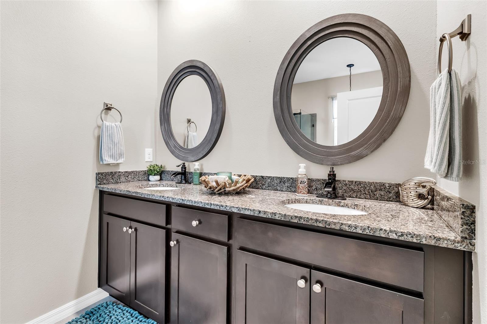 13225 WATERLEAF GARDEN CIR