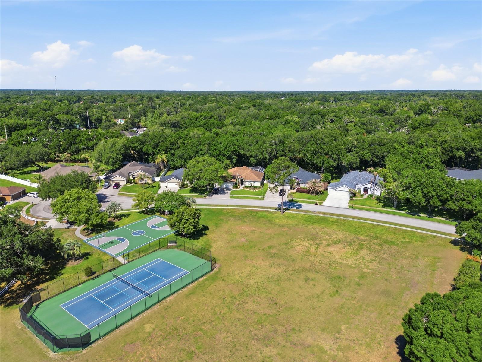 3205 PARTRIDGE POINT TRL