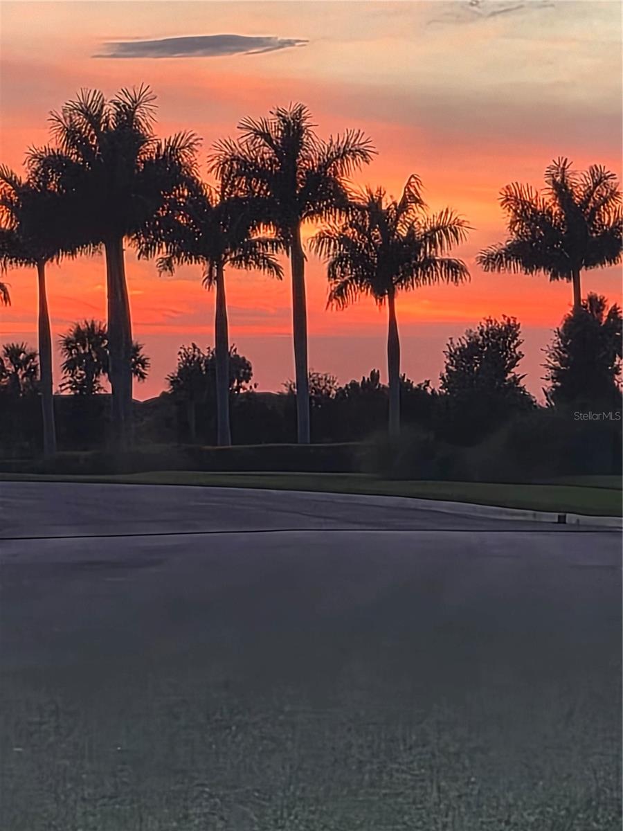 10057 MORNING MIST LN