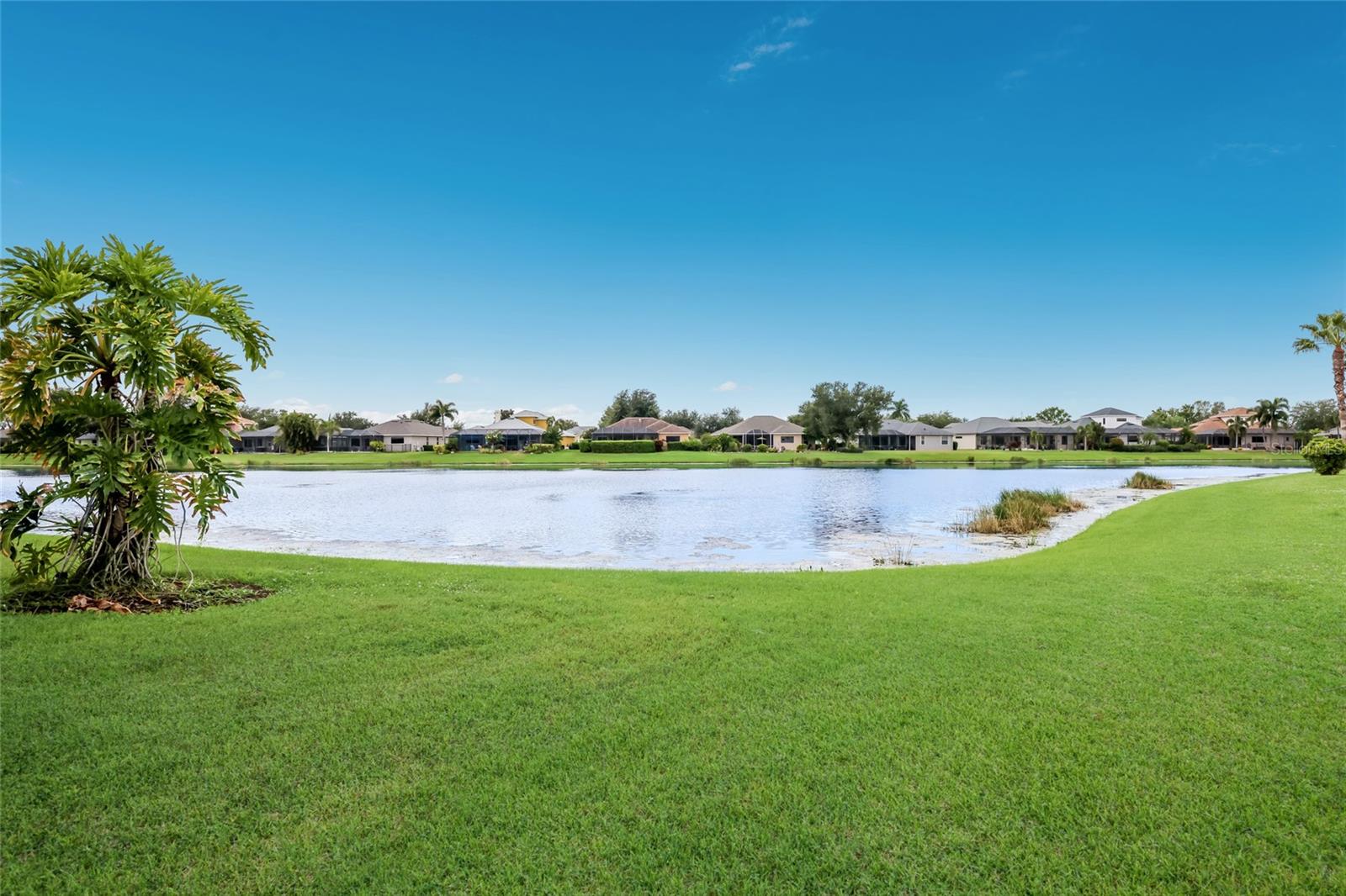 248 DAHLIA CT