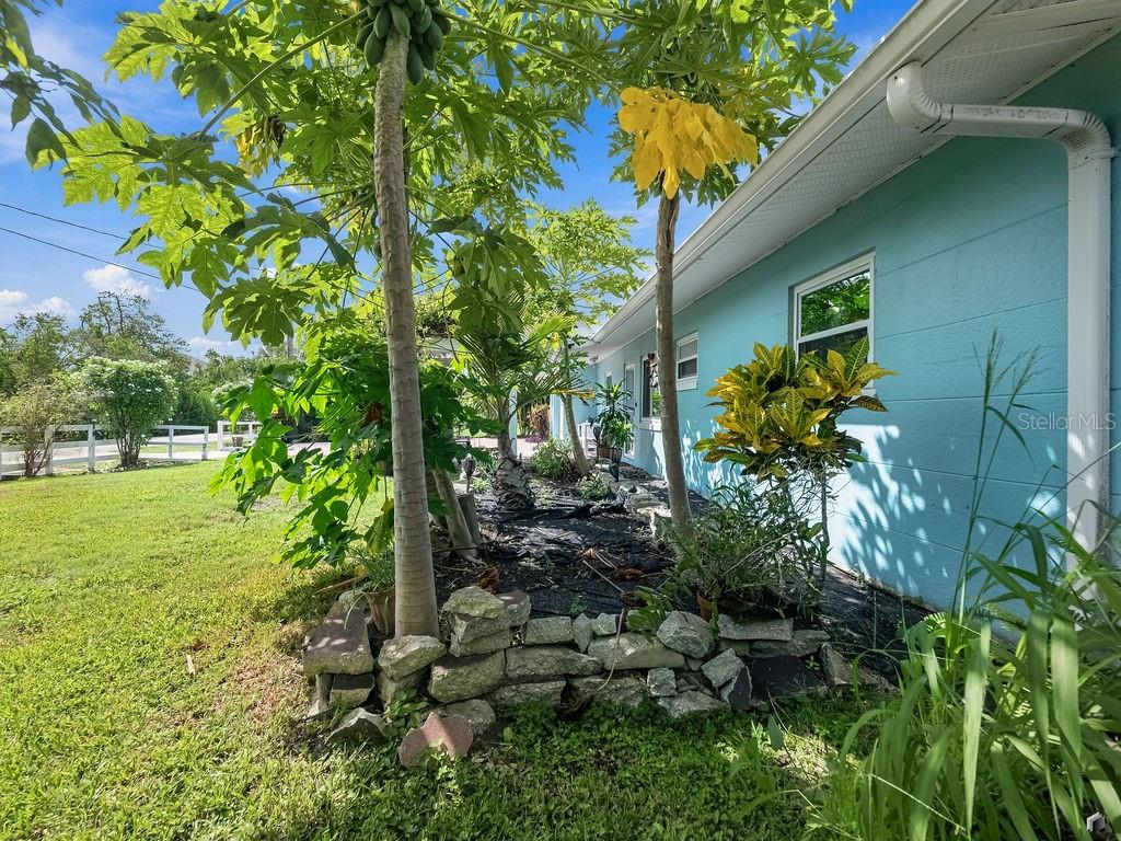 1831 BAYSHORE DR