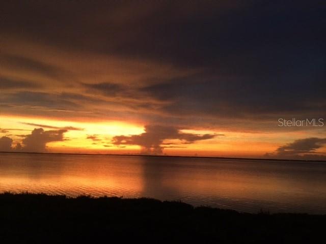 85 VIVANTE BLVD #8524