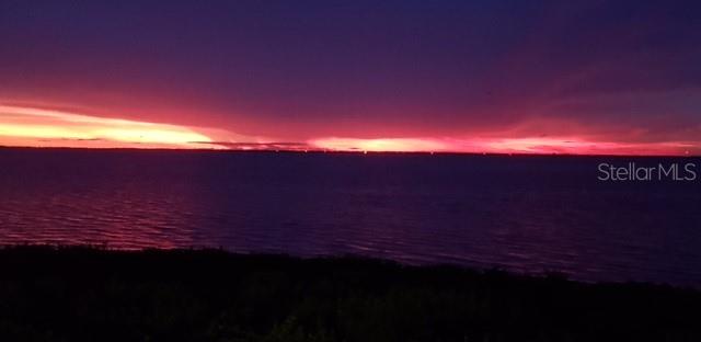 85 VIVANTE BLVD #8524