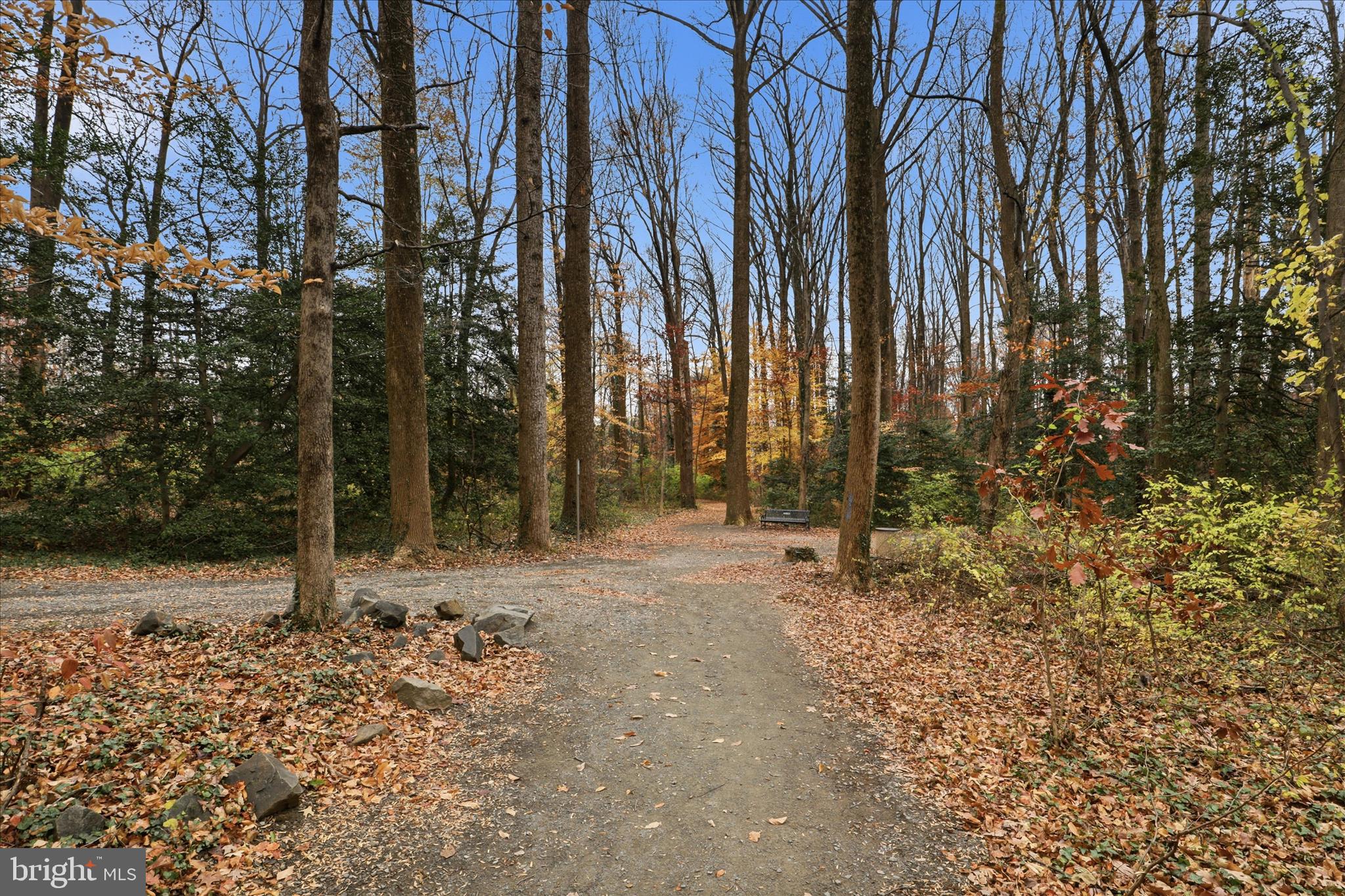 10721 WEST DRIVE 302