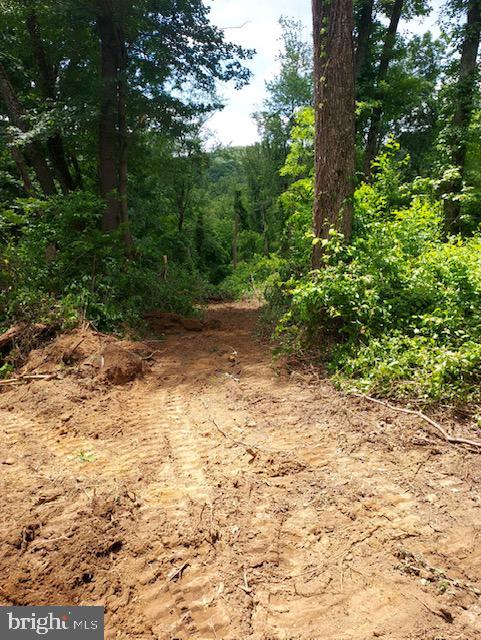 BLUE RIDGE - LEEDS MANOR ROAD