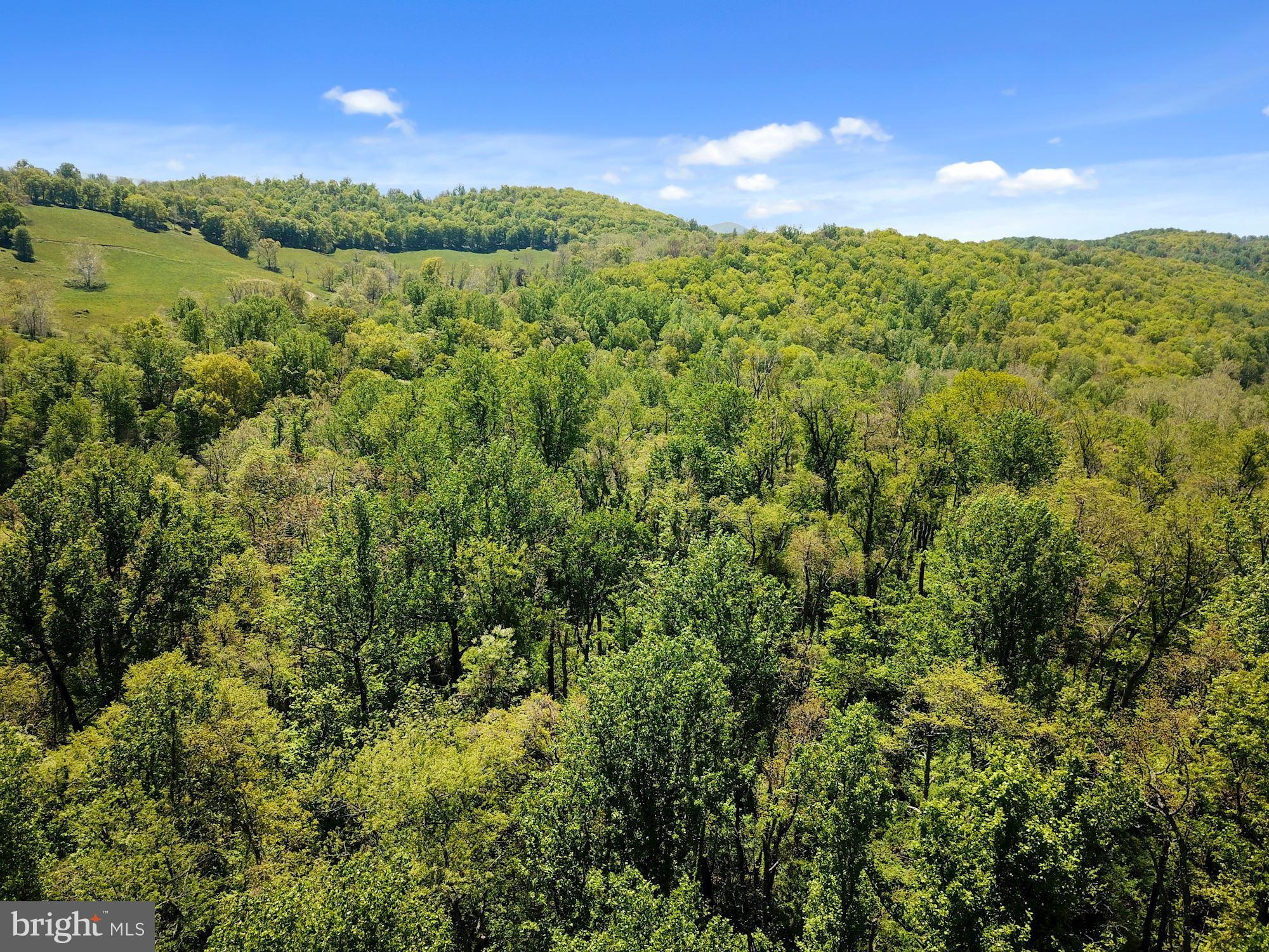 BLUE RIDGE - LEEDS MANOR ROAD