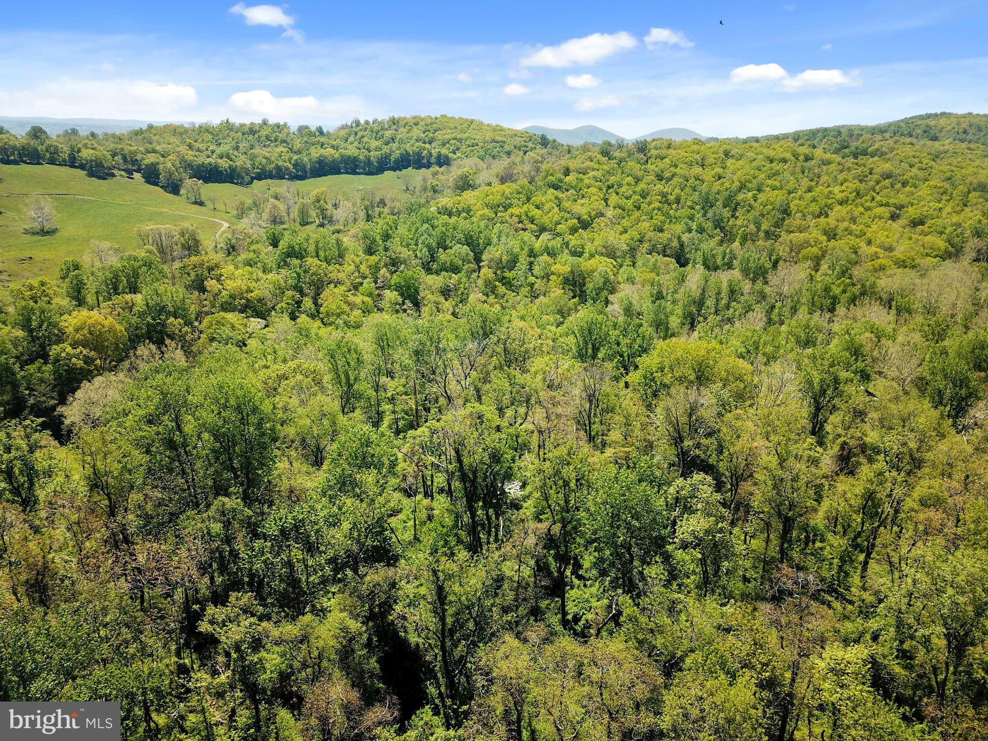 BLUE RIDGE - LEEDS MANOR ROAD