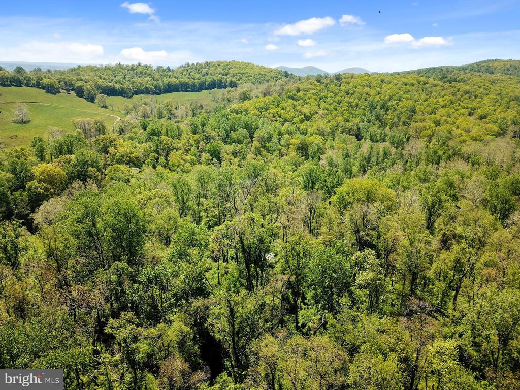 BLUE RIDGE - LEEDS MANOR ROAD
