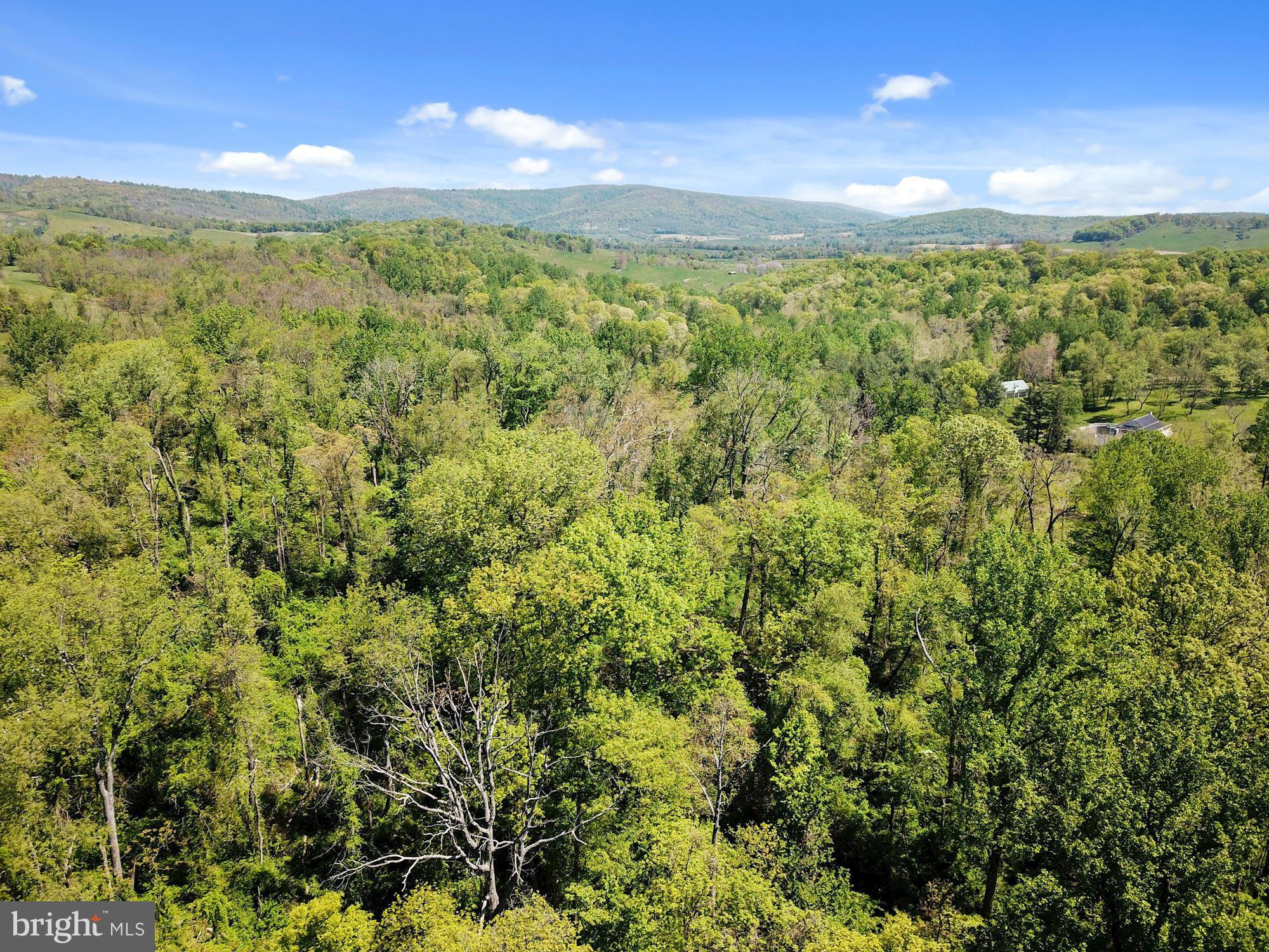 BLUE RIDGE - LEEDS MANOR ROAD