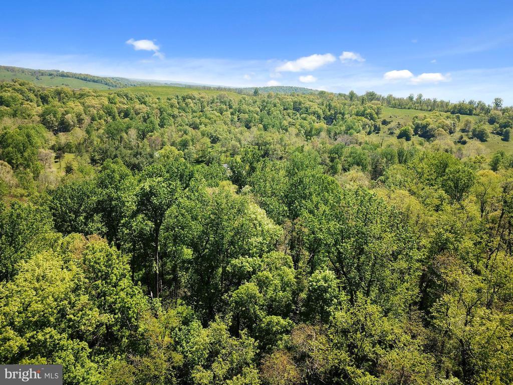 BLUE RIDGE - LEEDS MANOR ROAD