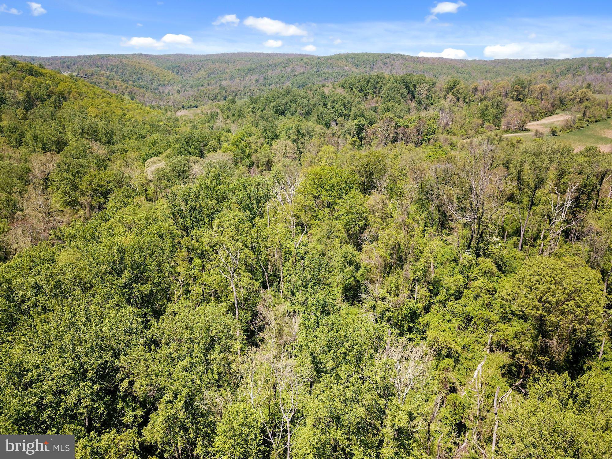 BLUE RIDGE - LEEDS MANOR ROAD