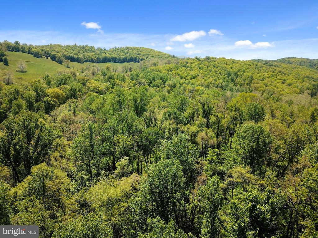 BLUE RIDGE - LEEDS MANOR ROAD