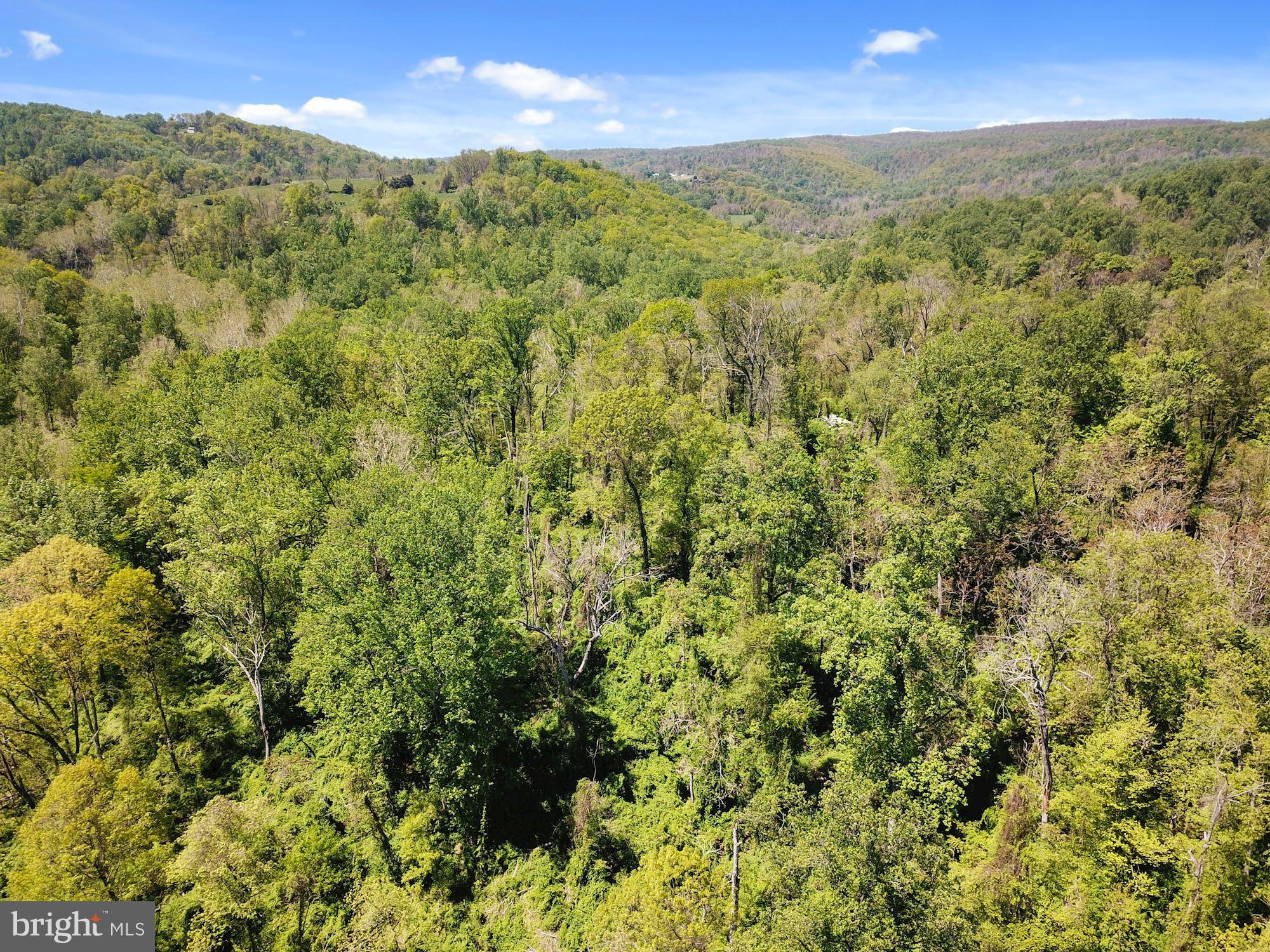 BLUE RIDGE - LEEDS MANOR ROAD