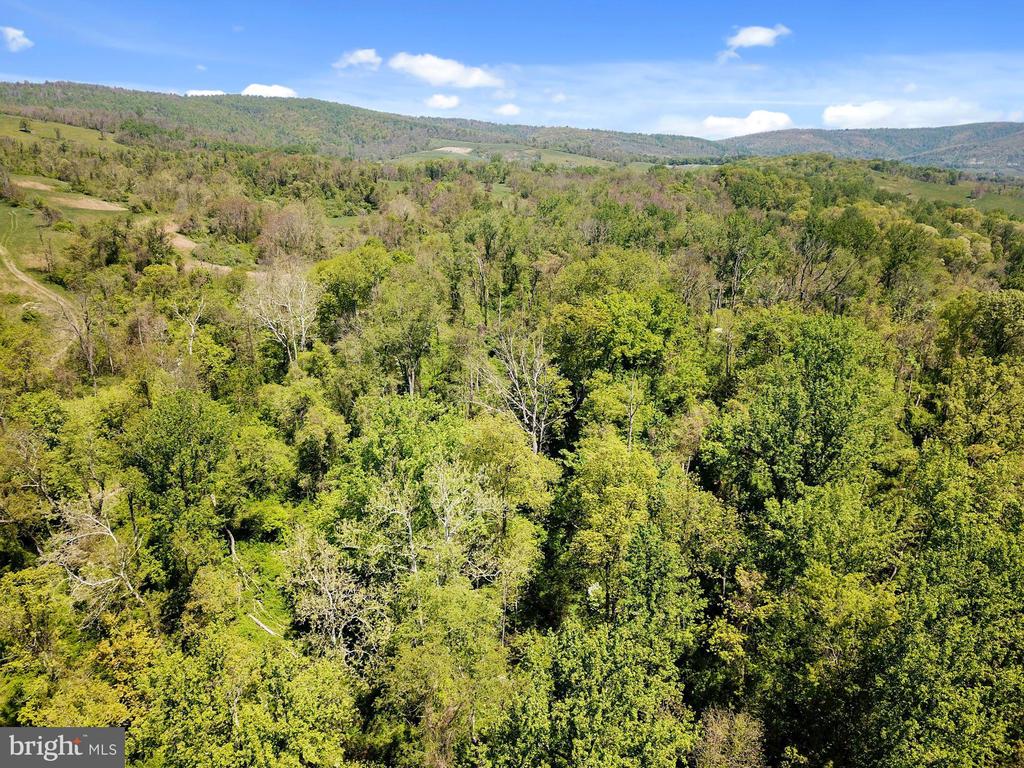 BLUE RIDGE - LEEDS MANOR ROAD
