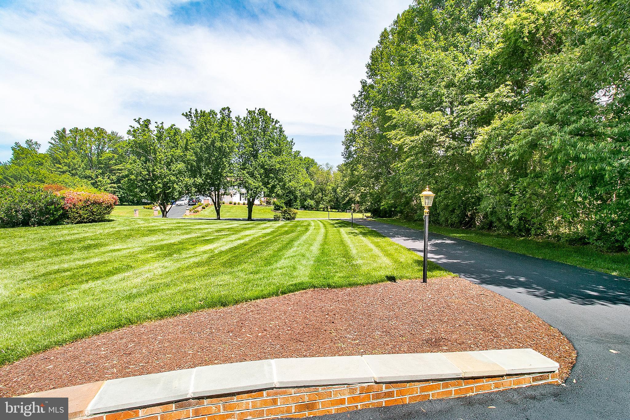 10411 CAVALCADE STREET