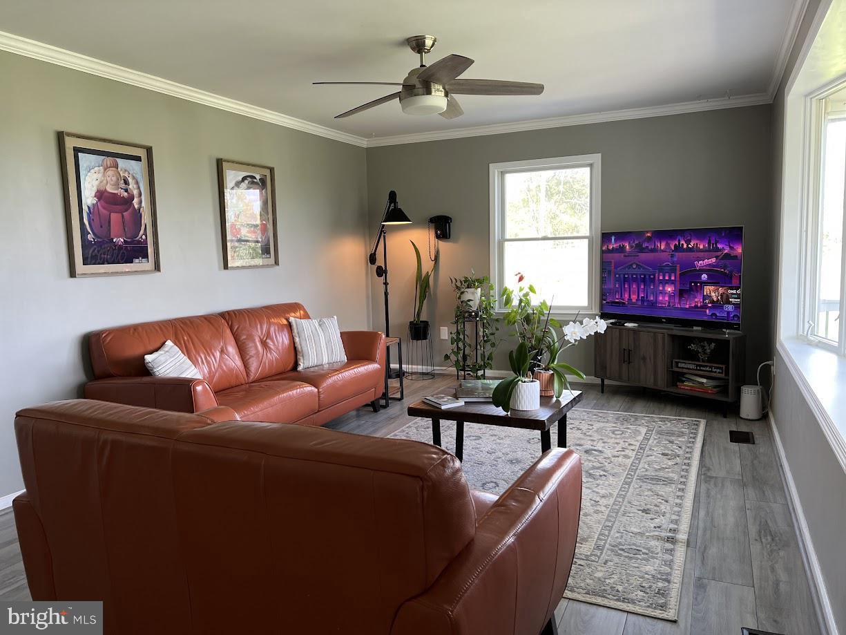 22749 TAIL RACE ROAD